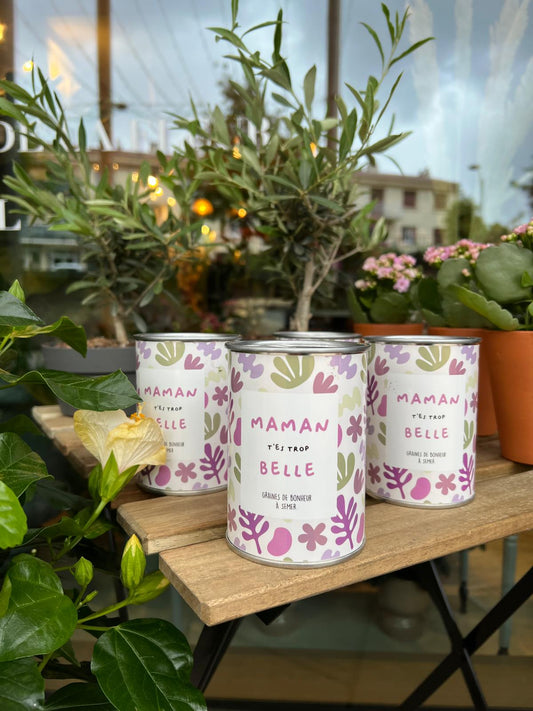Boîte à Graines « Maman t'es trop belle » – Graines de Bonheur à Semer