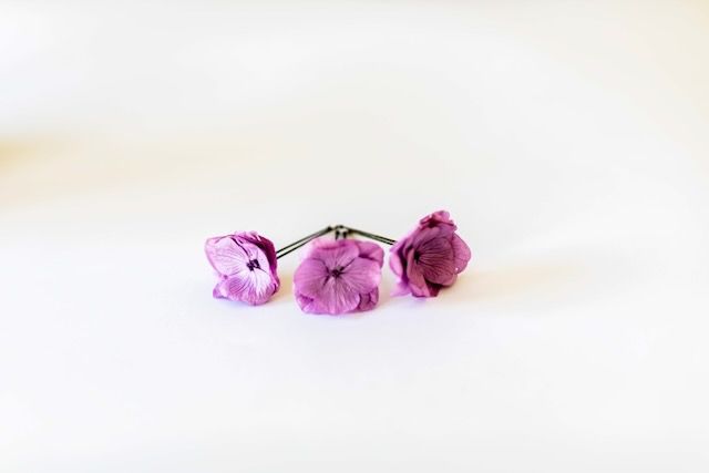 Pics à cheveux fleuris