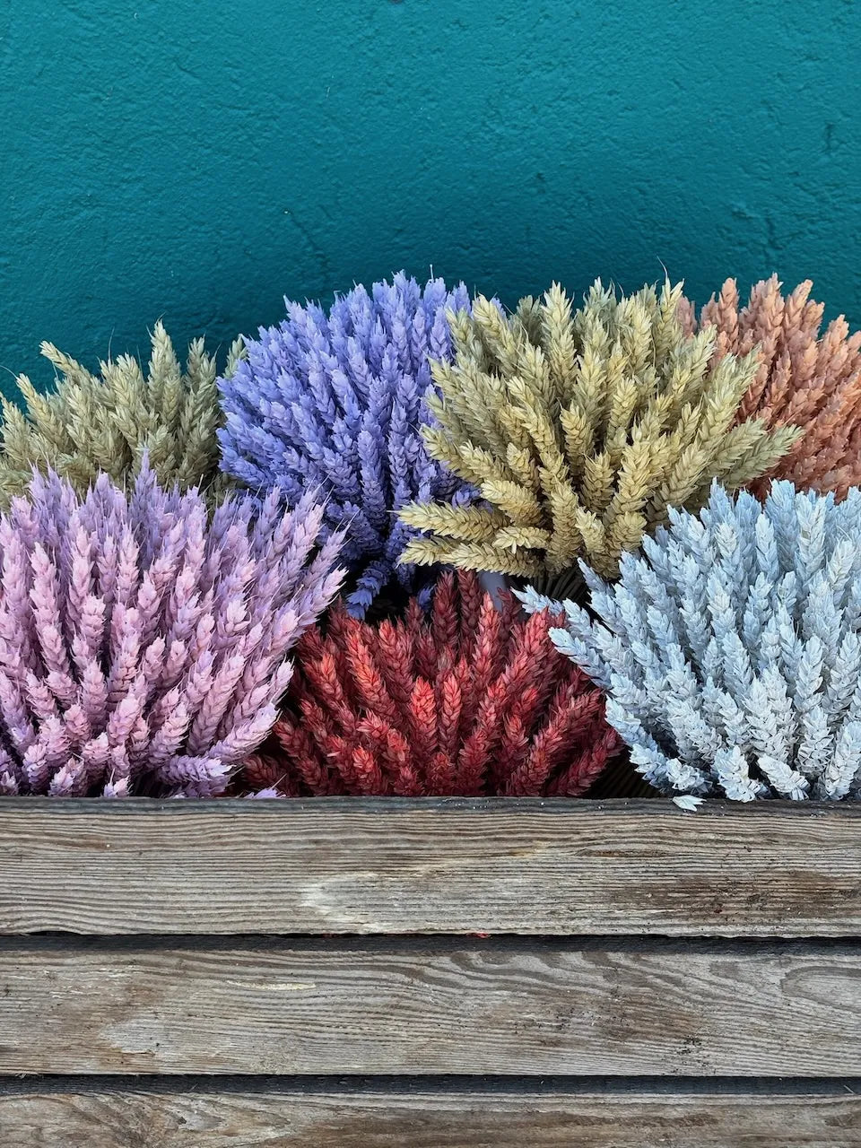Bouquet de blé teinté, fait main