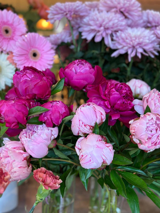 Bouquet de pivoines « Tendresse de Maman »